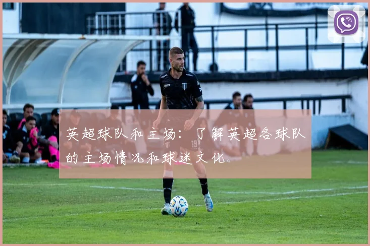 英超球队和主场：了解英超各球队的主场情况和球迷文化。
