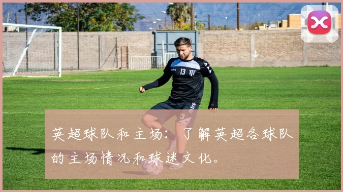 英超球队和主场：了解英超各球队的主场情况和球迷文化。